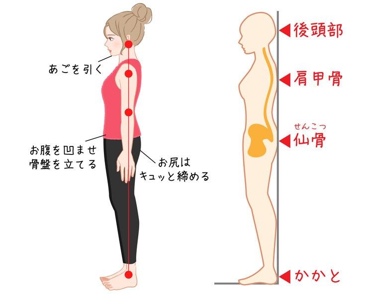 姿勢のチェックポイント